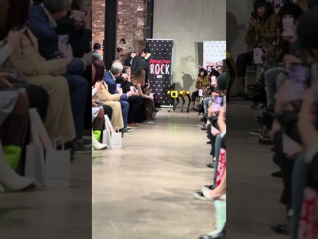 Rescue Dogs Rock NYC Fashion Show By ChanceTV Chia Ta Tsai Rescue Dogs Rock  52