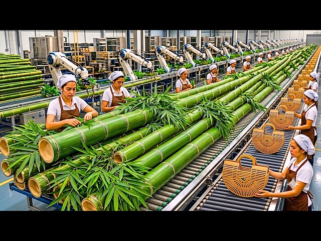 How Billions of Bamboo Become Luxury Handbags | Full Factory Process