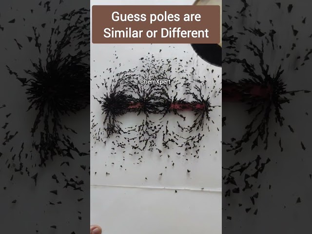 Guess The Poles Are same or different | Magnetic effect of Current | Class 10 Science
