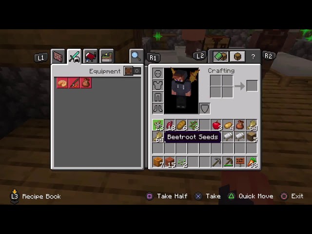 Minecraft Hardcore - 2