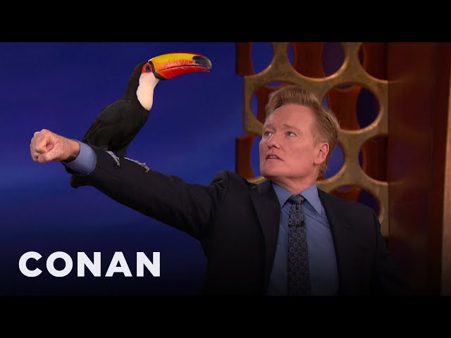 Animal Expert David Mizejewski: Tamandua & Toucan | CONAN on TBS