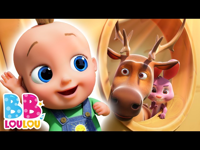 BB LouLou – En su casa vive un gran ciervo 🦌 + Bebé Tiburón | Canciones educativas