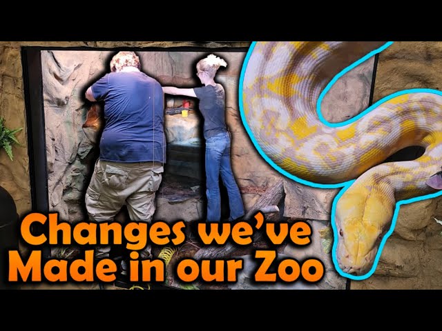 Updates to our Zoo after 1 Year!