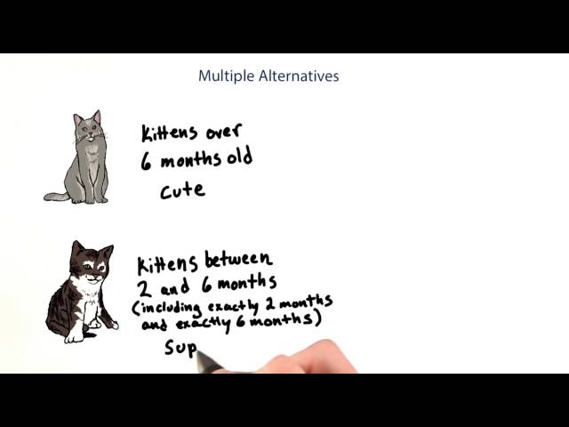 Cutest Kitten - Intro to Java Programming