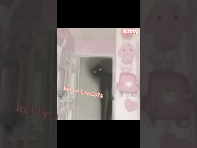 Kitty house "LEVEL 974" #shorts #backrooms