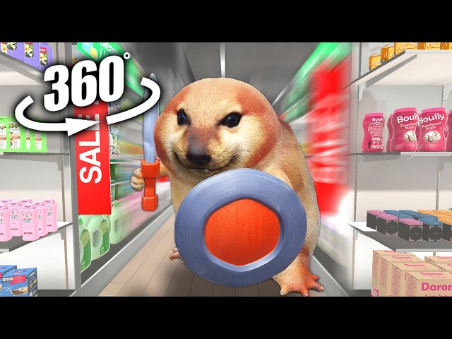 What The Dog Doin? Dog in Supermarket ! | VR / 4K | Tiktok AR Dog Meme