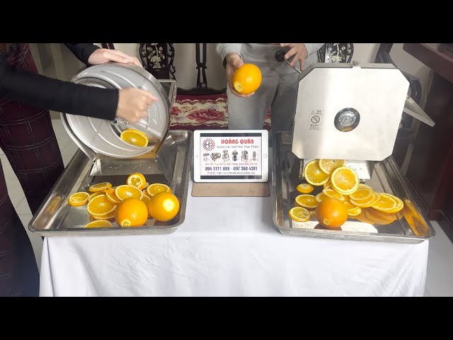 HOANG QUAN FRUIT SLICING MACHINE