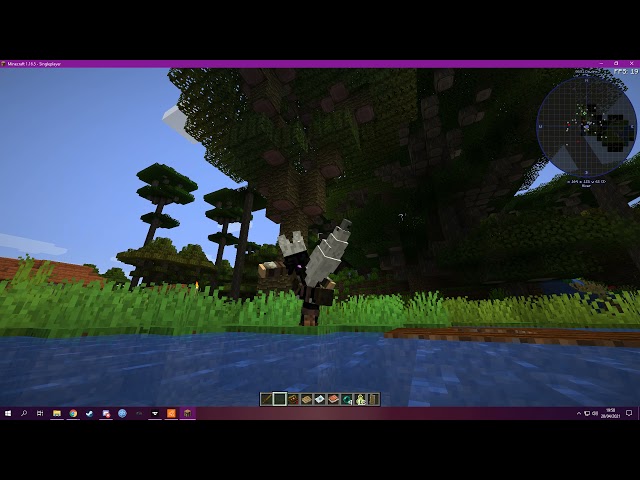Minecraft Custom Player Model and Animations