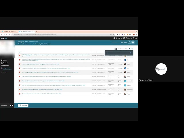 Newbies cần chú ý gì khi tham gia dự án test trả tiền trên nền tảng Test IO -Testertudo team