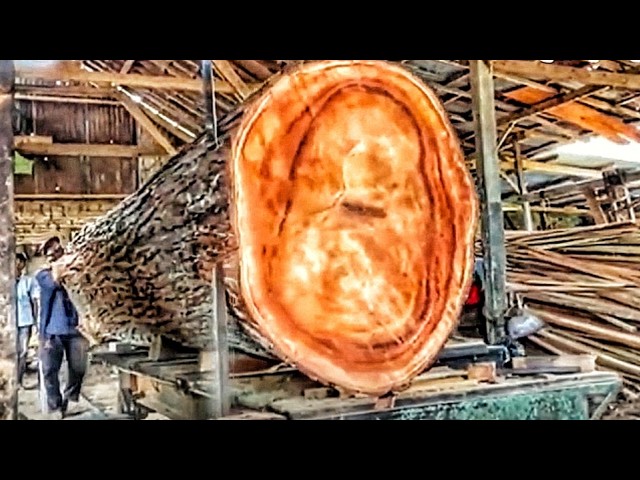 Sawmills Sawing Giant Logs into Premium Furniture Timber