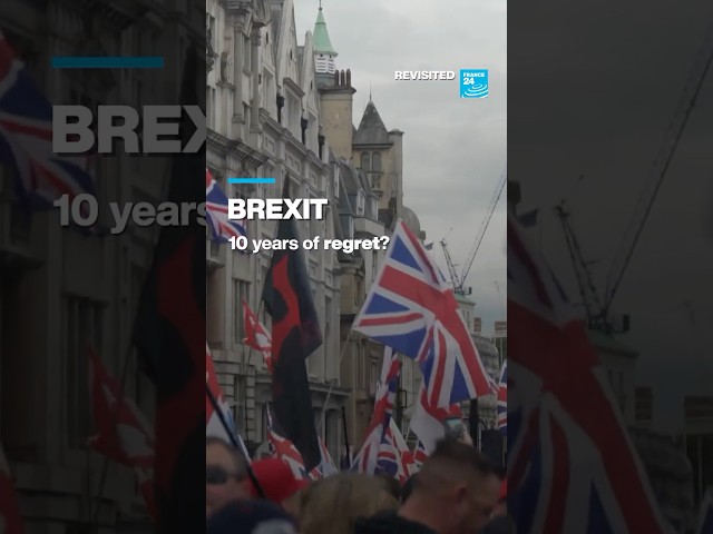Brexit: What has changed for the British, 10 years later? • FRANCE 24 English