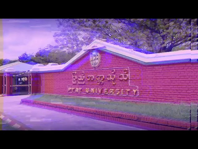 Pyay University