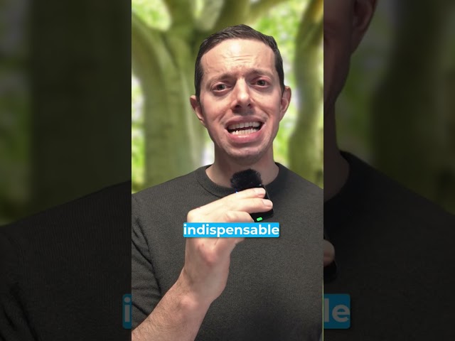 To Succeed in AI Governance You Need The 4 Cs