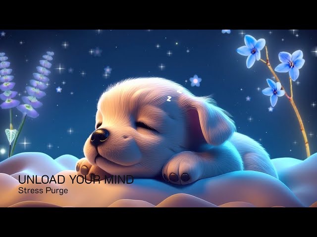 (No Ads) 3 Min Neural Unloading 🎹 Deep Sleep Piano • Mental Weight Reset