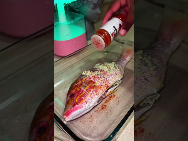 Baked Red Snapper #foodie #dinnerrecipe #food #fishing #fishingvideo