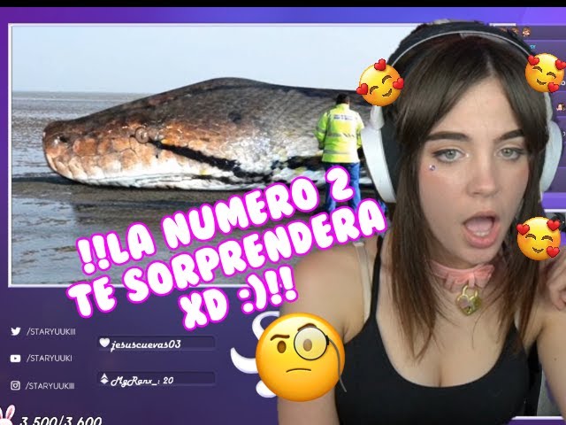 Staryuuki😍😍 |REACCIONA a Doctops😈 3/07/2020 "7 criaturas históricas captadas en cámara"