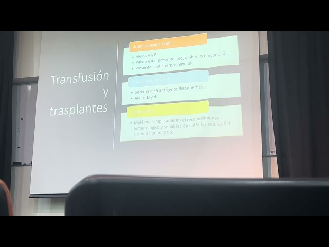 8 de septiembre de 2025