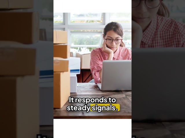 Consistency Over Motivation: The Key to Algorithm Success