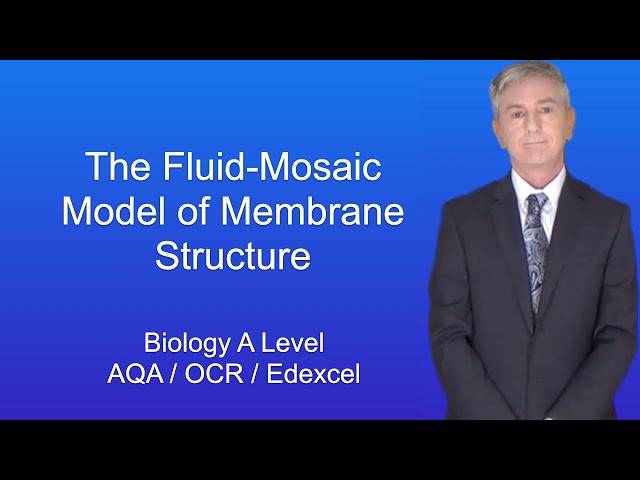A Level Biology Revision "The Fluid-Mosaic Model of Membrane Structure"