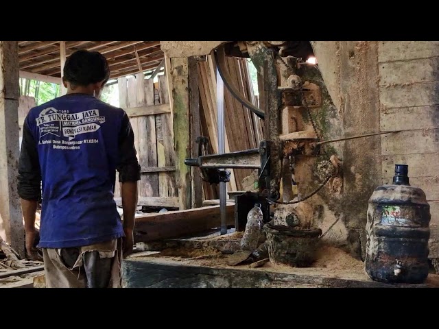 Industrial Logging: The Incredible Speed of Modern Timber Processing