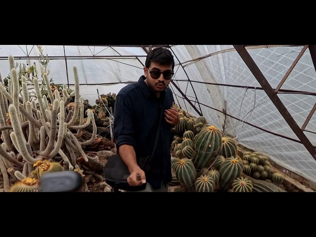 short walk on the streets of Kalimpong. rare cactus nursery! 8k 360!
