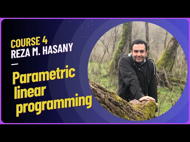 Parametric linear programming | Operations Research