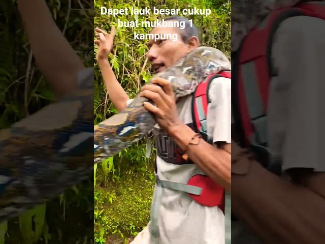 A python as big as a tree is ready to be eaten by a crowd #bigsnake #snake #shortvideo #shorts #s...