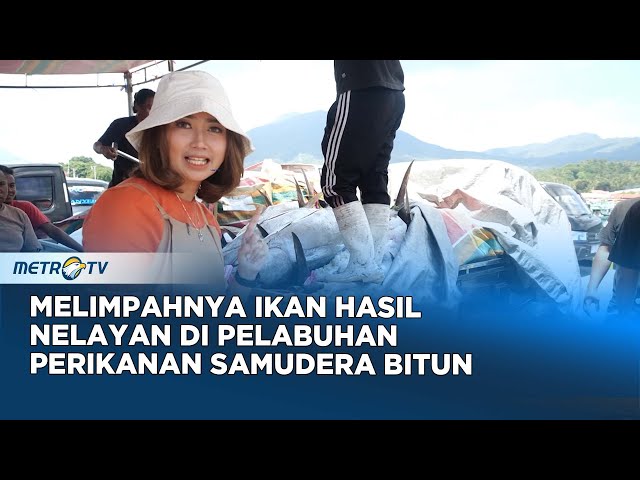 Melimpahnya Ikan Hasil Nelayan di Pelabuhan Perikanan Samudera Bitung #journey