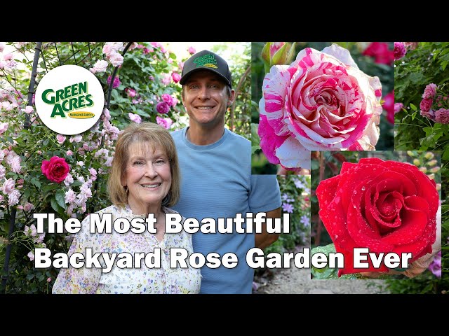 Inside a Master Rosarian's 300+ Rose Garden - Full Tour