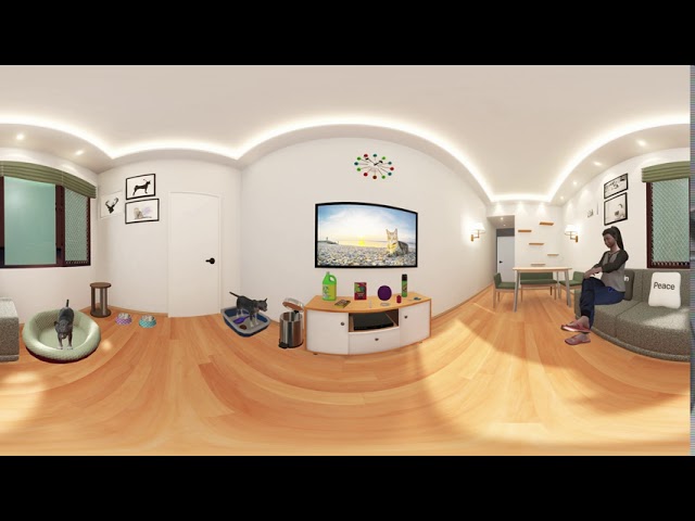 Home VR 360 View 2019