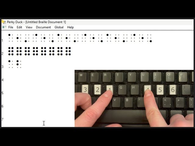 Free Braille Software for Beginners - Installing Perky Duck