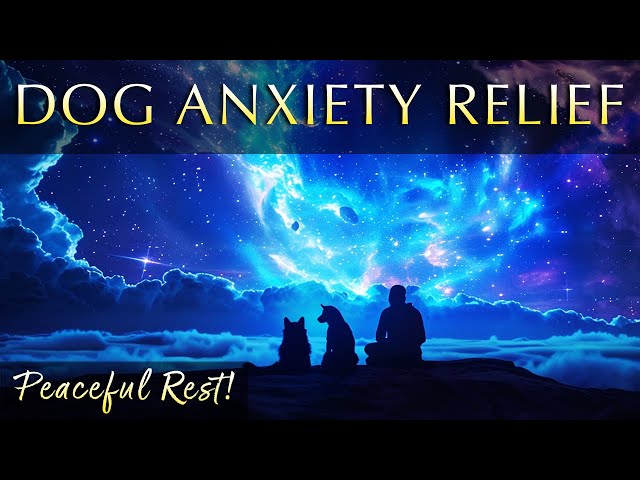 Dog Anxiety Relief Music – 852Hz Frequencies for Peaceful Rest and Healing