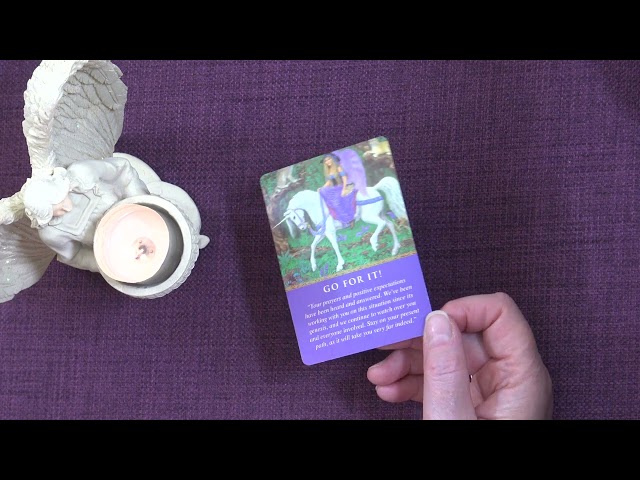 Your Daily Angel Message - A Little Angel Message — What the Angels Want You to Know Today ✨
