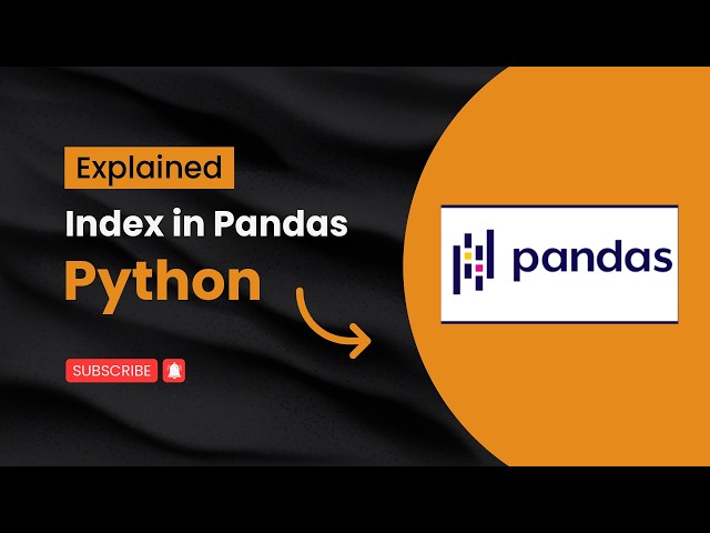 Index in Pandas Python | Reset, Set & Rename Index Explained | #elseritesh