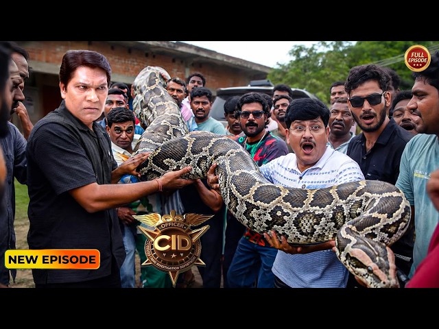 A python caused such chaos that the CID team was left struggling! CID Bengali | CID 2026
