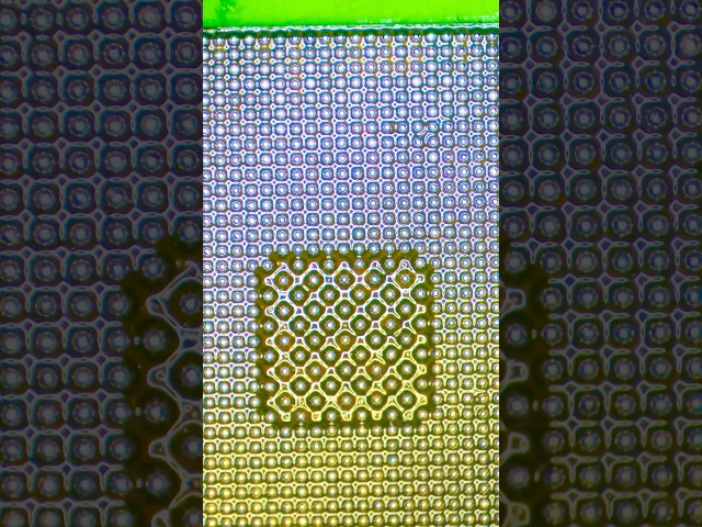 Cpu ball #holidayswithshorts