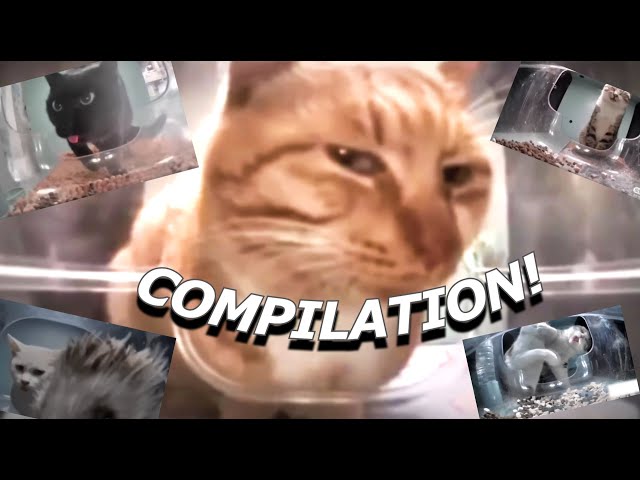 Mr. Fresh And Friends ULTIMATE COMPILATION!