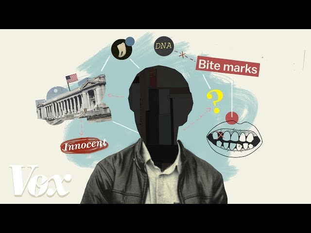 False Positive: When forensic science fails [Full version]