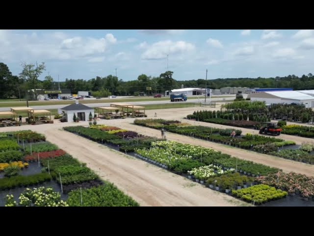 A Backyard Garden Walkabout // OUR NEW NURSERY COMMERCIAL!!! // MY SOUTHERN GARDEN