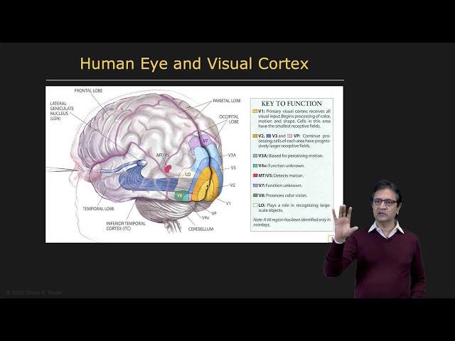 How Do Humans Do It? | Introduction