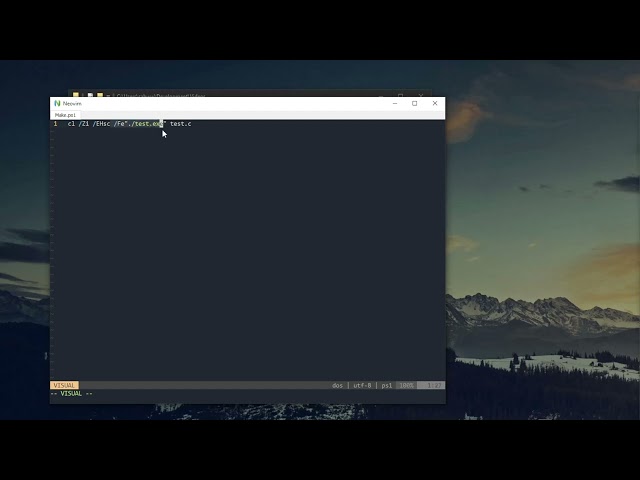 Small overview of C development in Windows with Neovim and WinDbg