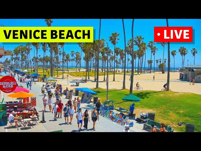 🔴 Los Angeles Live Cam · Venice Beach · Venice V Hotel · Live Camera Stream