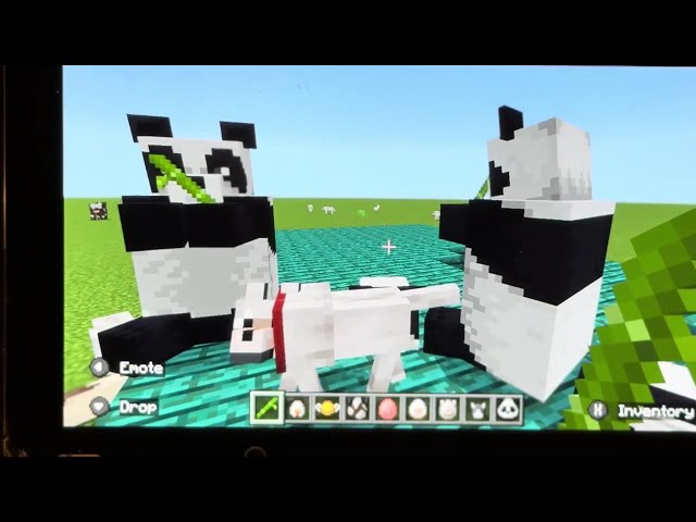 How To Breed Some Minecraft Mobs (I found a rare panda!)
