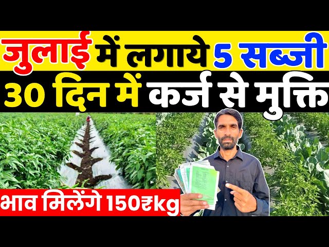 जुलाई में कौनसी सब्जी लगाएँ | July Me Konsi Sabji Lagaye | July Me Sabji Ki Kheti | July Vegetables