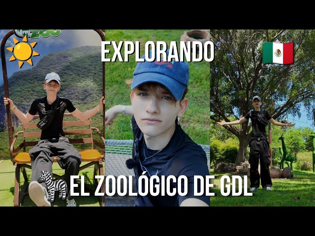 IF YOU WANNA SEE ANIMALS, OPEN THIS... #vlog | ENG SUBTITLES |