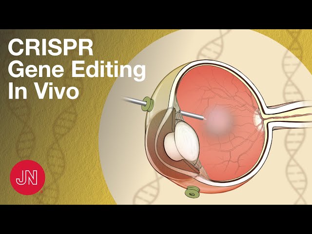 Gene Editing Inside the Body Using CRISPR