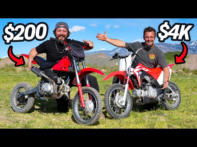 WE TESTED CHEAP VS EXPENSIVE PITBIKES