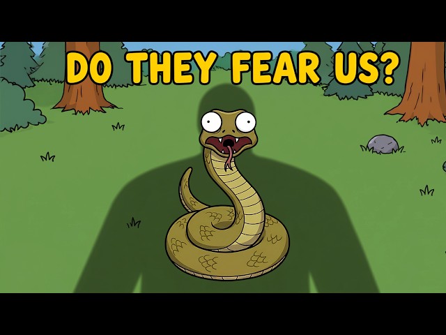 Why Are Snakes More Scared of You Than You Are of Them?