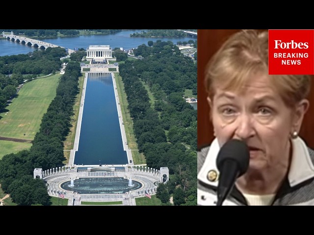 'It Isn't A Vandalizing Problem': Kaptur Explains Engineering Issues Facing Reflecting Pool