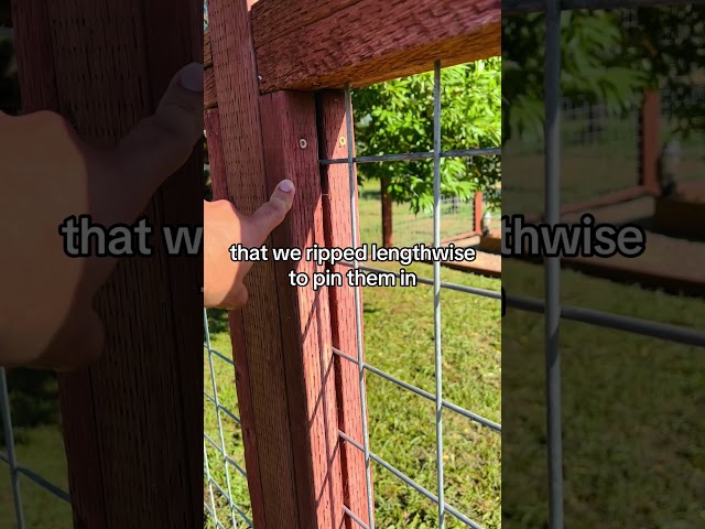 How to Build a Deer Fence for Garden